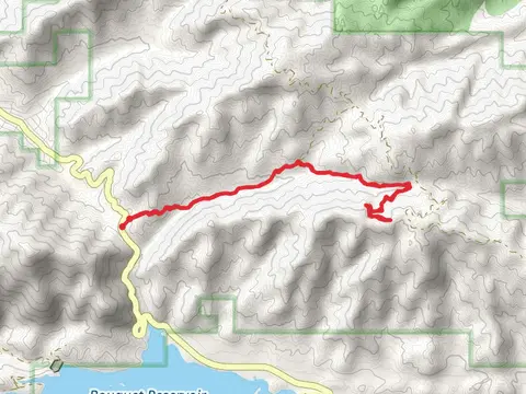 Spunky Edison Road and PCT