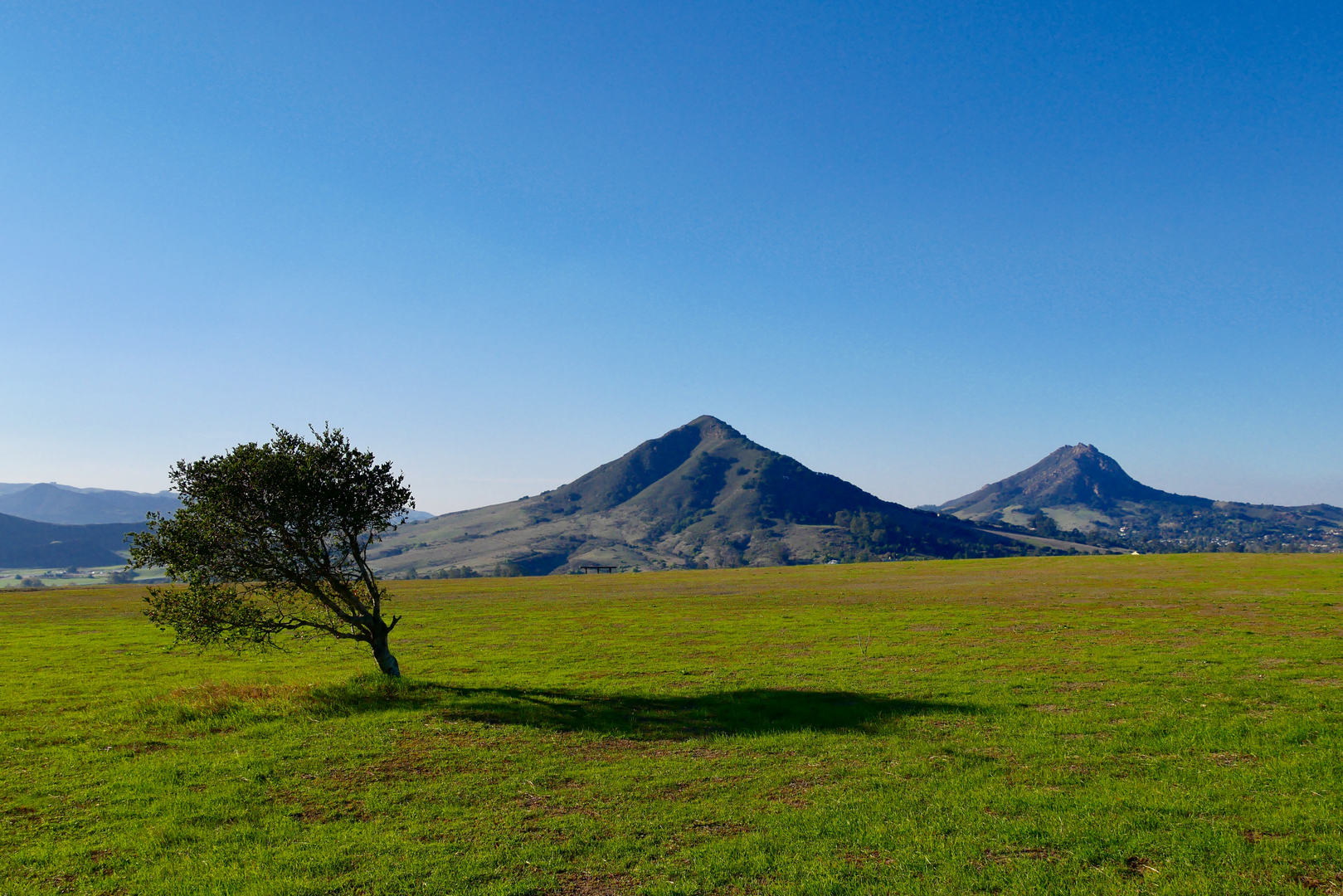 An image depicting the trail Terrace Hill Loop from Bishop Street and its surrounding area.