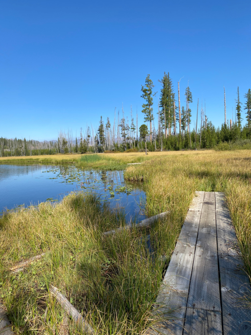 An image depicting the trail Deception Trail and its surrounding area.
