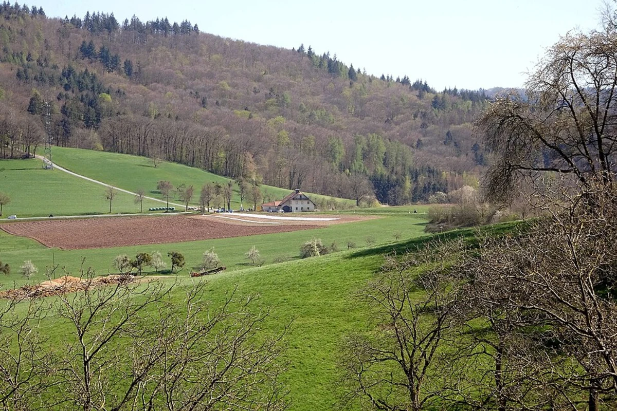 Uferweg and Alfredweg Loop