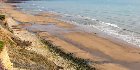 Paradise on the Isle of Wight Butterfly Walk