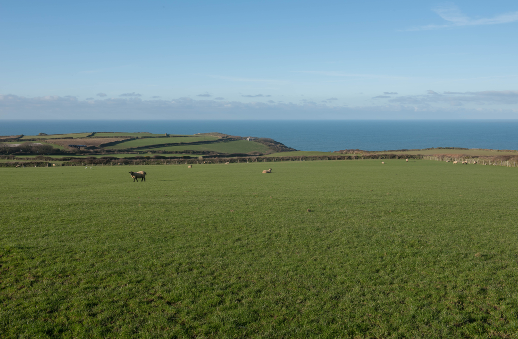 An image depicting the trail Boscastle Farm Shop - A Short Circuit and its surrounding area.