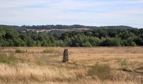 An image depicting the trail South Elmsall Common Short Loop and its surrounding area.
