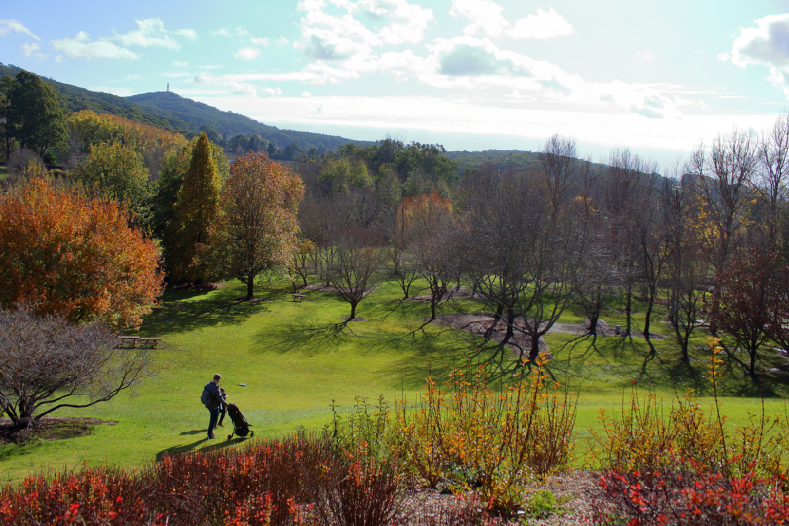 An image depicting the trail Steub Trail and its surrounding area.