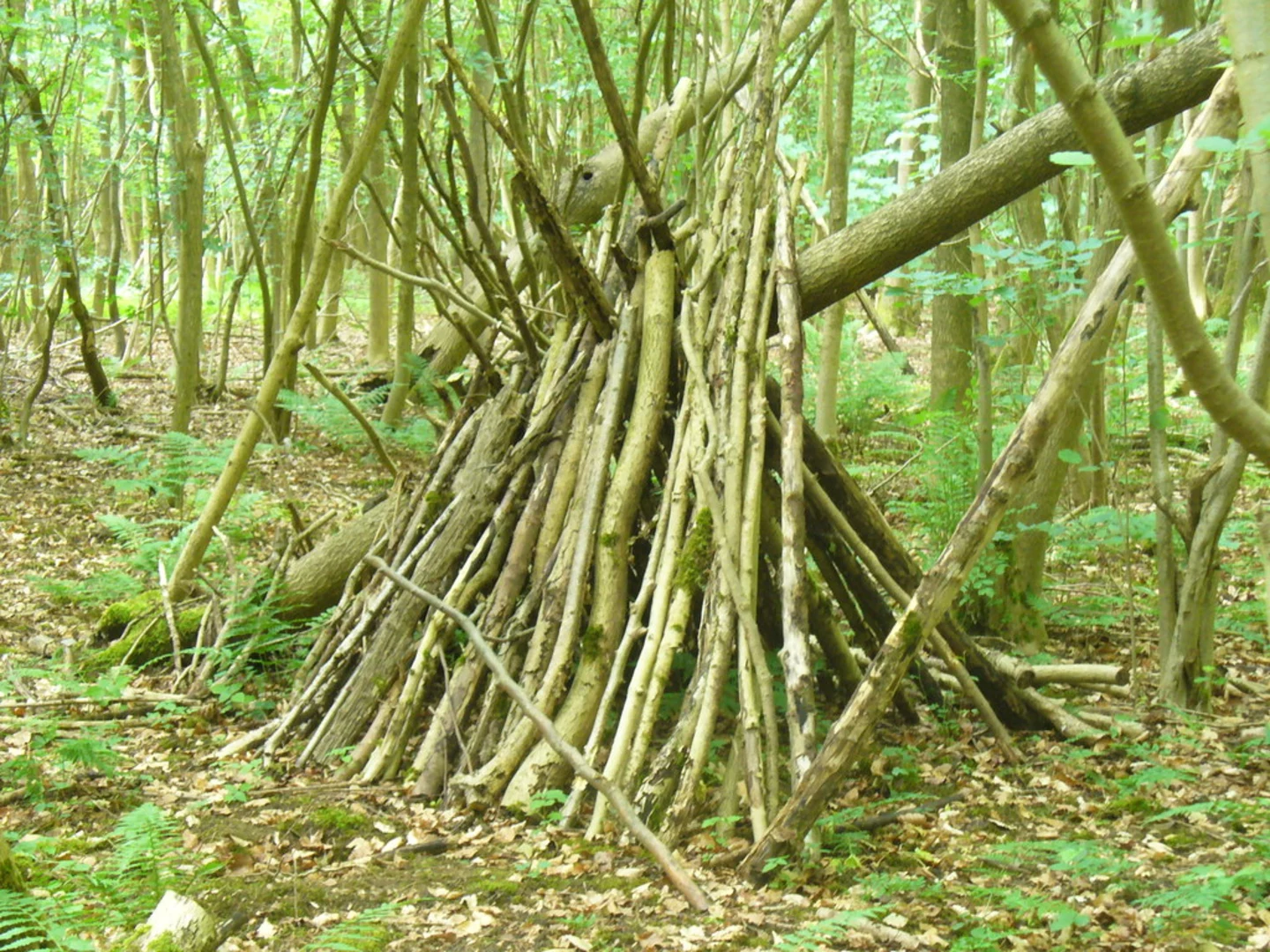 An image depicting the trail Box Hill Country Park and Norbury Park via Mole Gap Trail and its surrounding area.