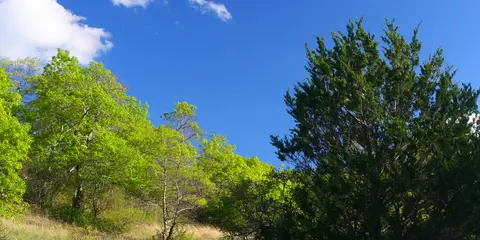 An image depicting the trail LBJ Grasslands - Blue Trail and its surrounding area.