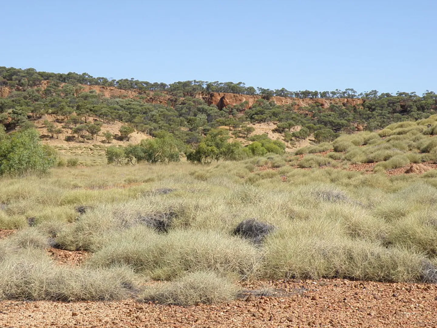 An image depicting the trail Spinifex Circuit Track and its surrounding area.