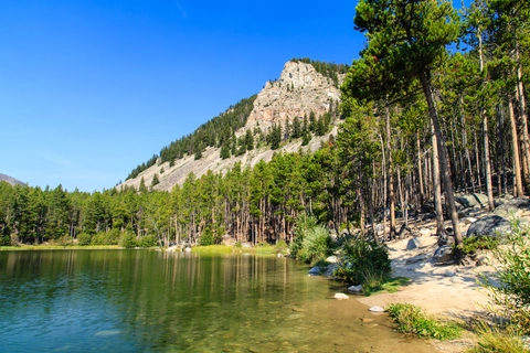 An image depicting the trail Wild Bill Lake Loop Trail and its surrounding area.