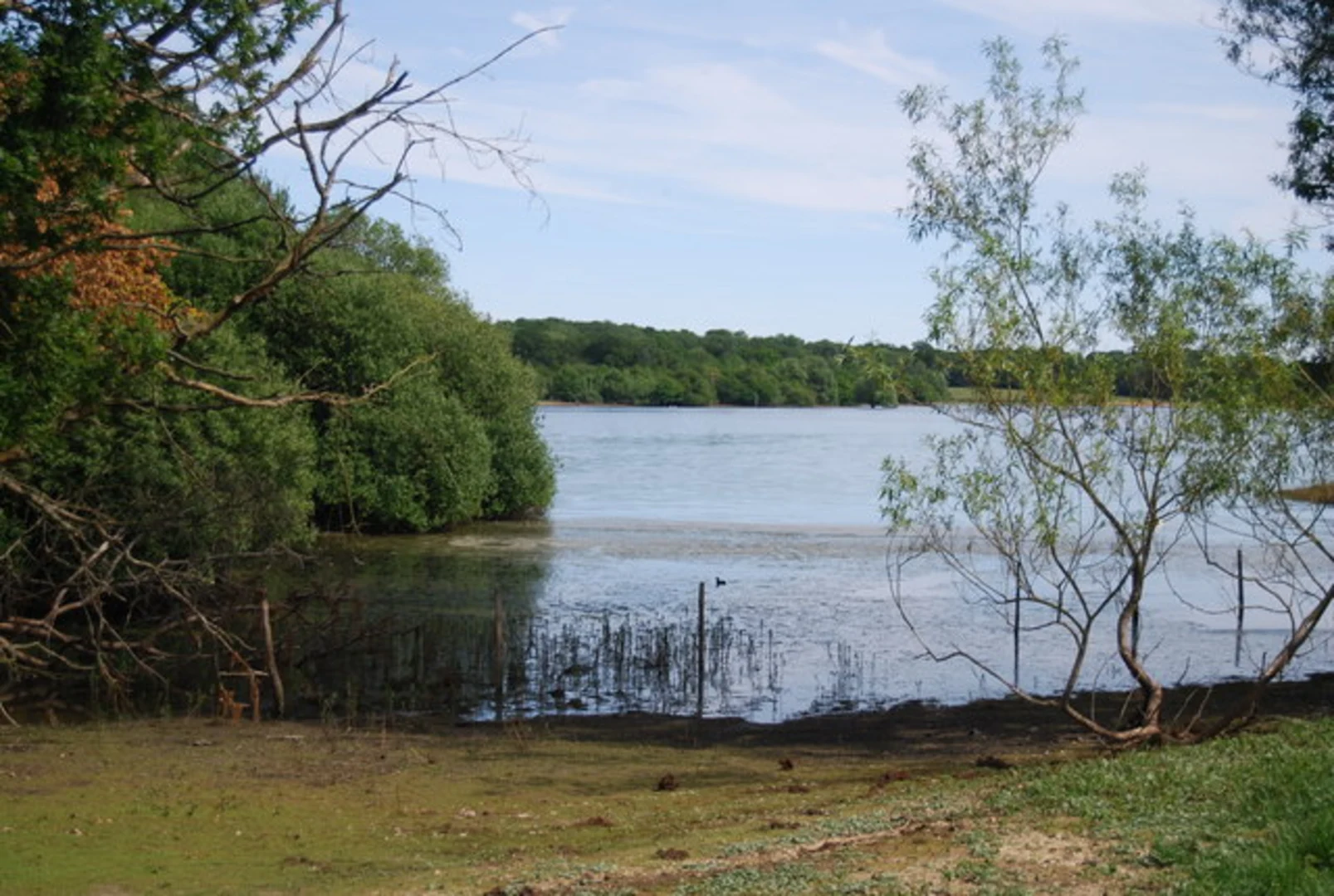 An image depicting the trail Bough Beech Reservoir and its surrounding area.