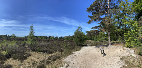 Bakkeveense Duinen and Uitzichttoren Loop