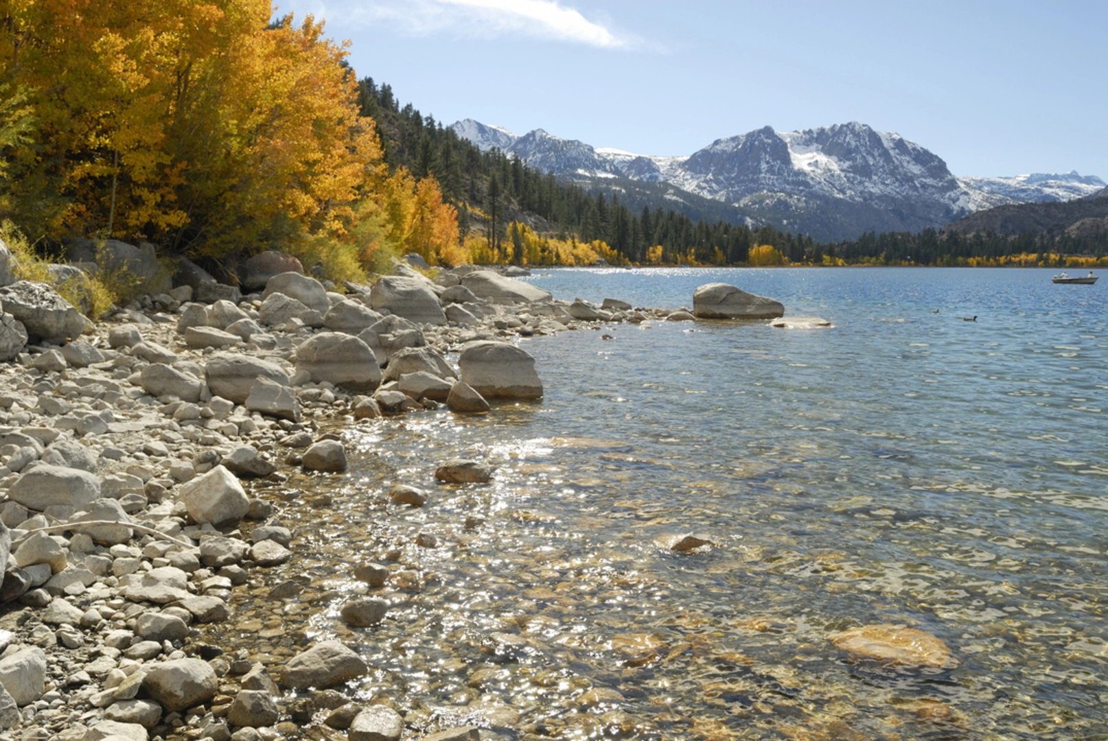An image depicting the trail Yost Meadow Loop Trail and its surrounding area.