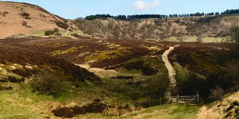 An image depicting the trail Hole of Horcum from Levisham Station and its surrounding area.