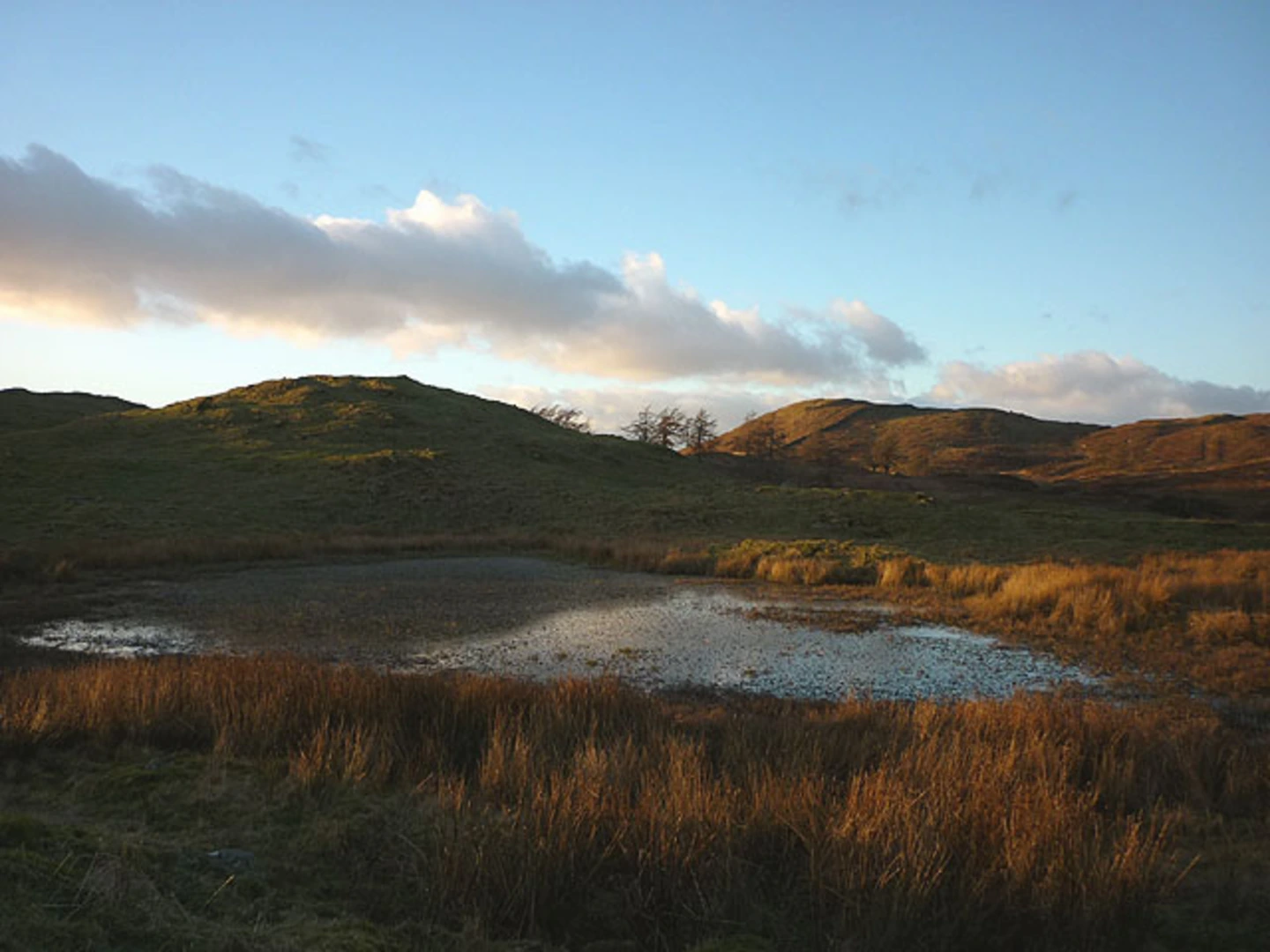 An image depicting the trail Ravenscar Plantation, Hugill Fell Loop - Staveley and its surrounding area.