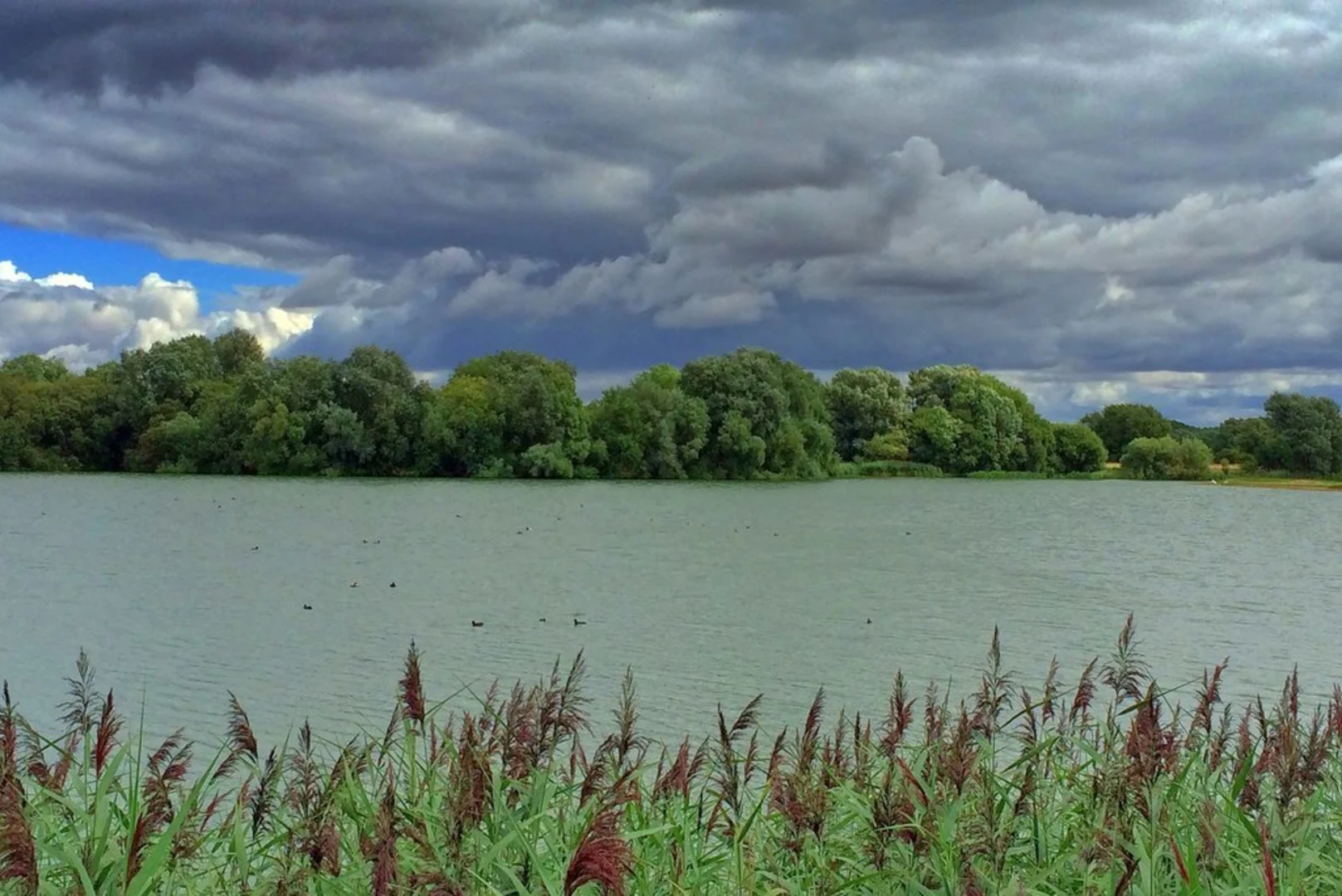 An image depicting the trail Linford Lakes Loop and its surrounding area.