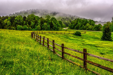Gauley Mountain Trail