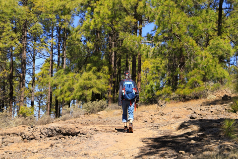 Pico de la Nieve Trail