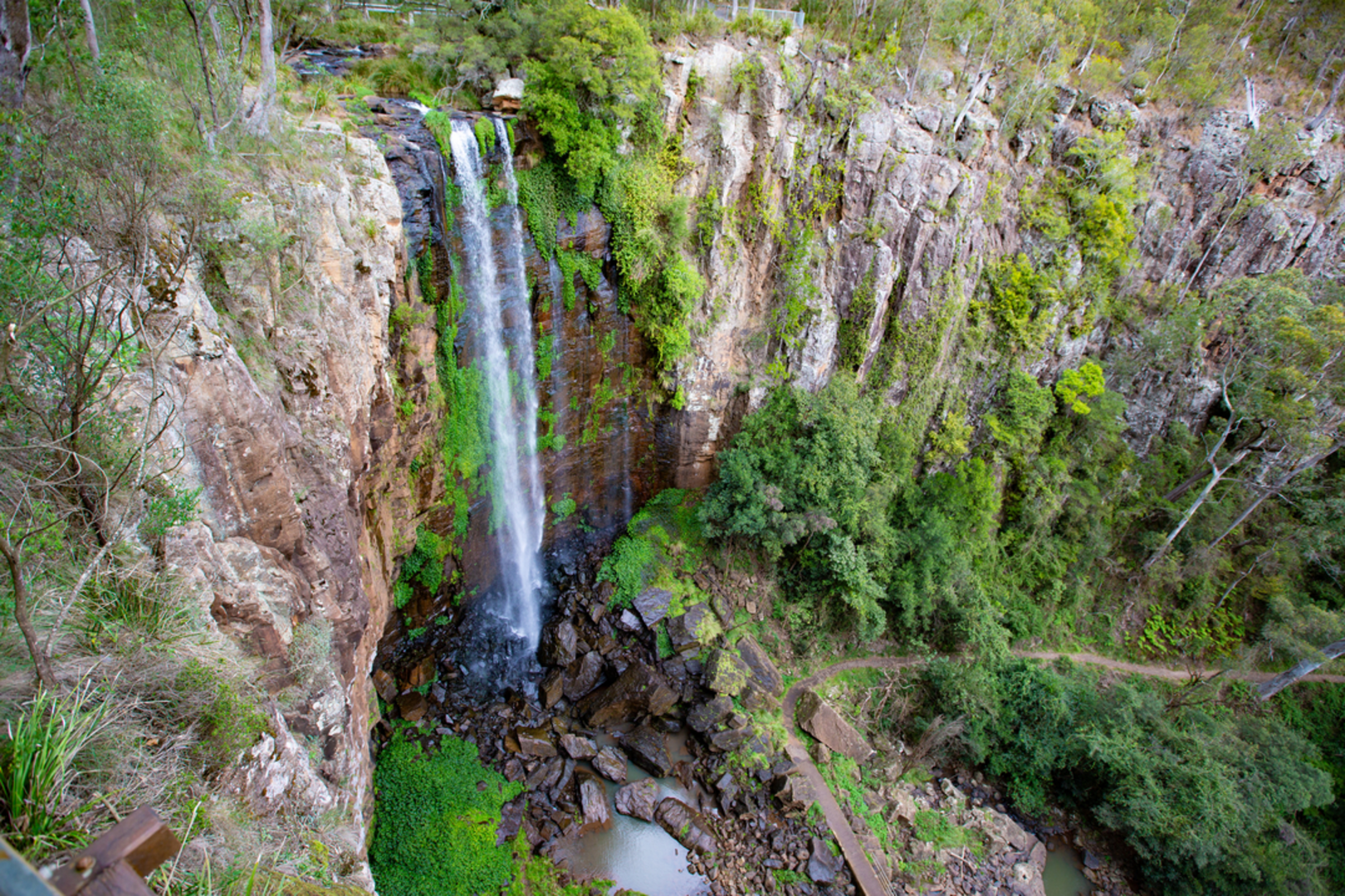 An image depicting the trail Queen Mary Falls Circuit Track and its surrounding area.