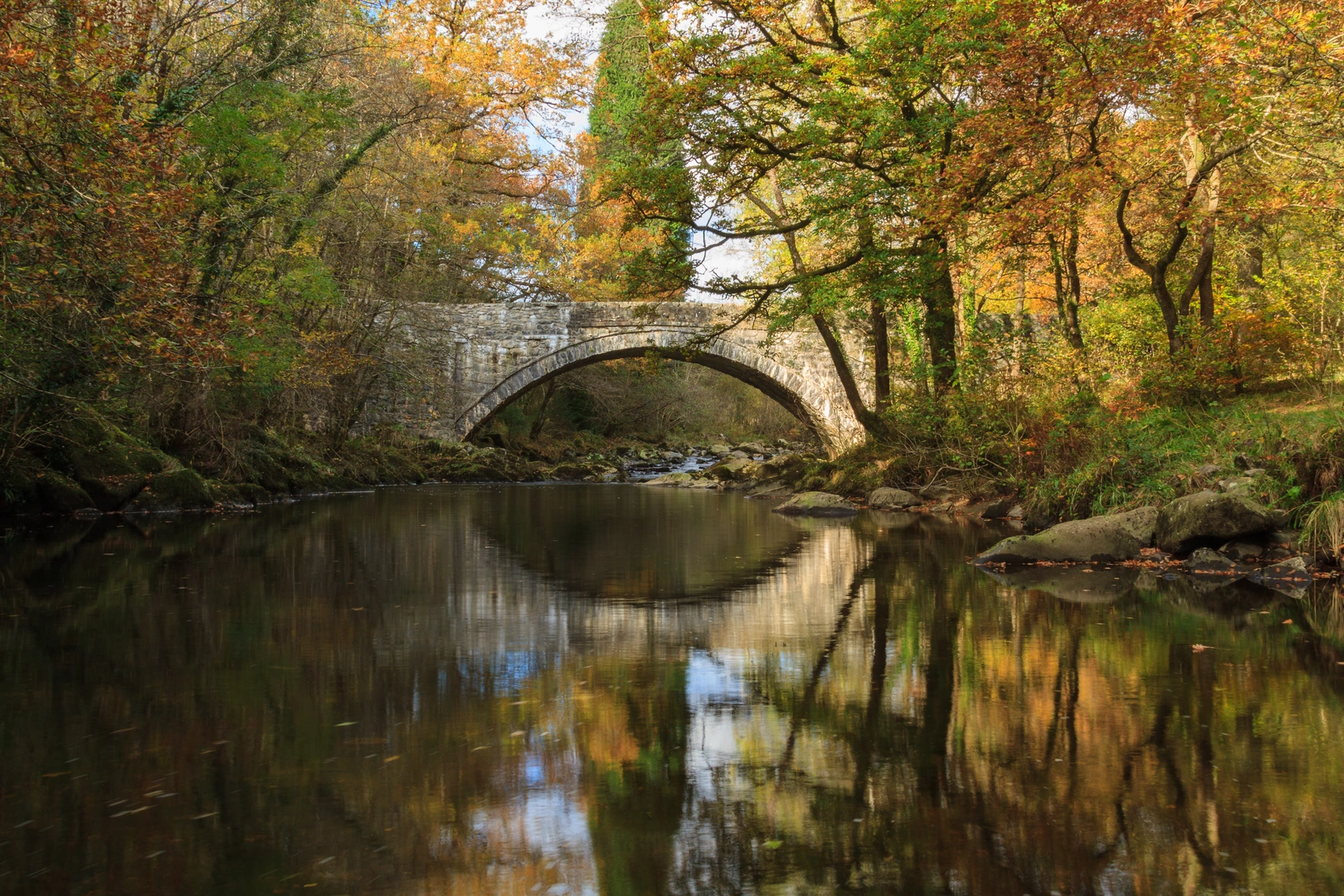 An image depicting the trail Mawddach Trail and its surrounding area.