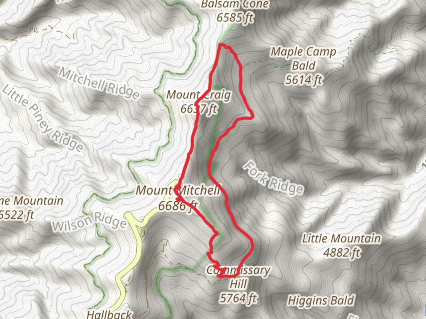 An image depicting the trail Big Tom, Mount Craig and Mitchell Loop and its surrounding area.