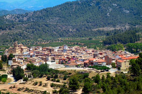 Tivissa Trail PR C 182