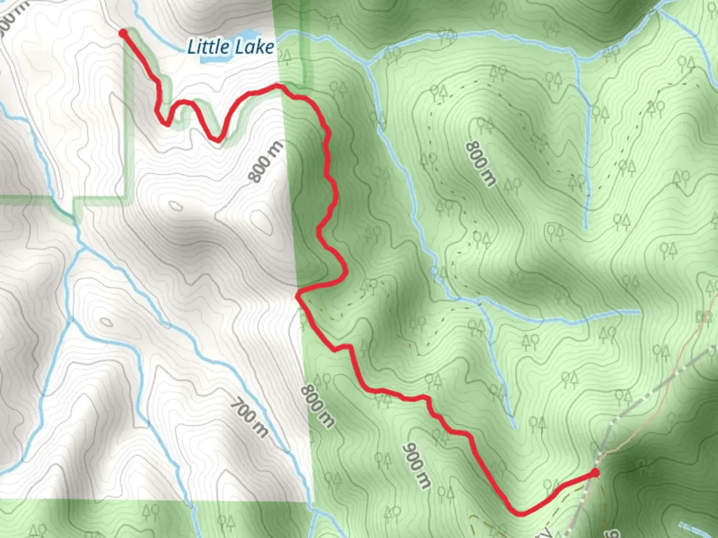 An image depicting the trail Nimblewill Gap to Road Little Lake and its surrounding area.