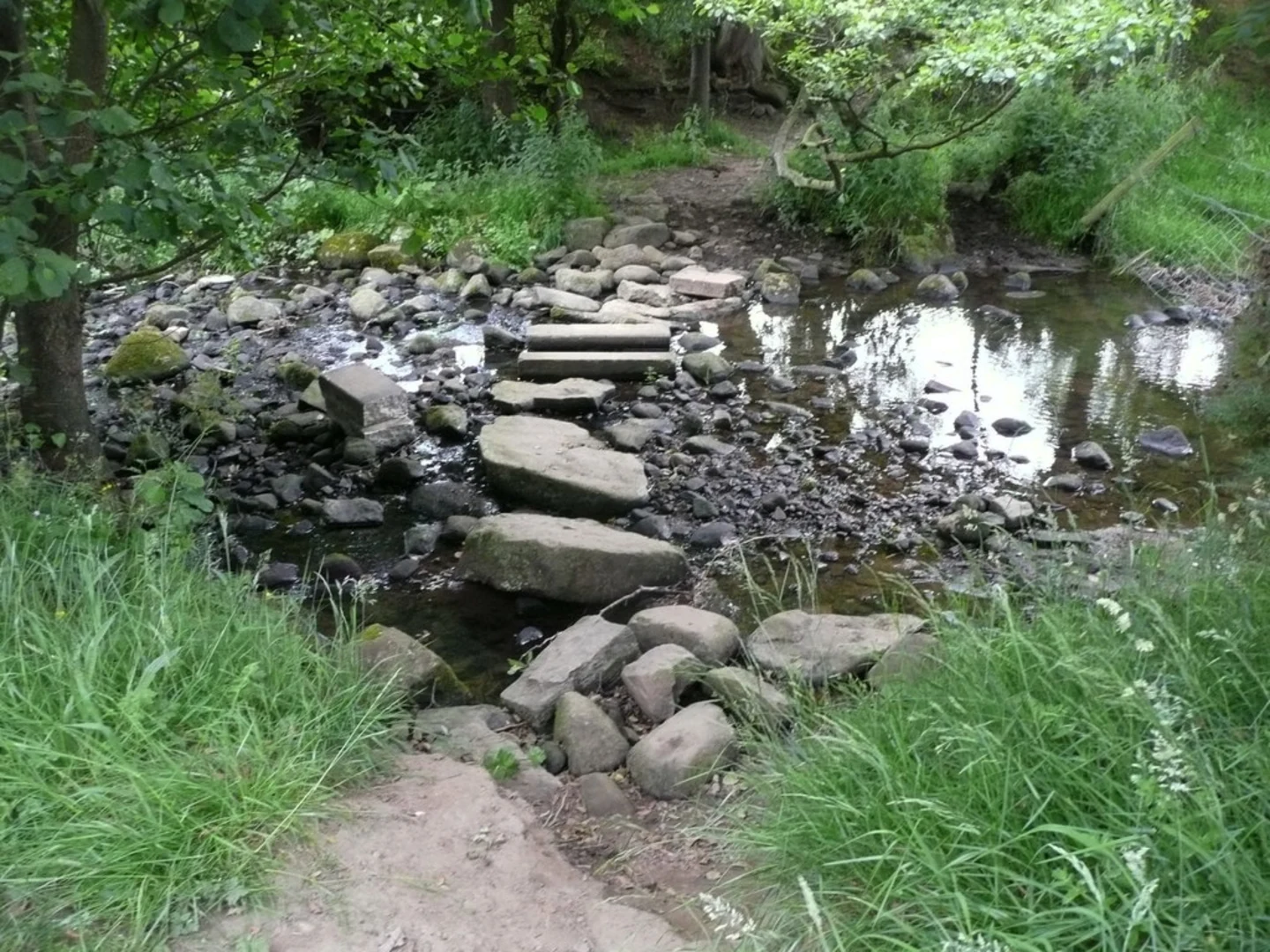 An image depicting the trail River Wharfe to Riffa Wood Walk and its surrounding area.