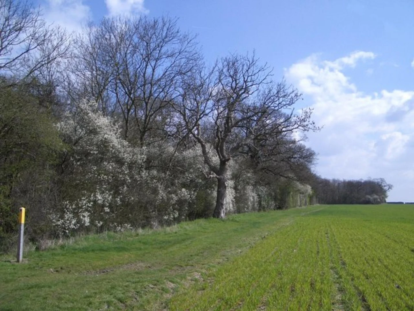 An image depicting the trail Turvey Eastern Loop and its surrounding area.