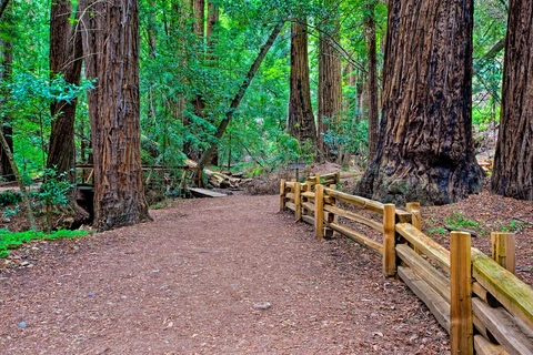 An image depicting the trail Ventana Camp via Pine Ridge Trail and its surrounding area.