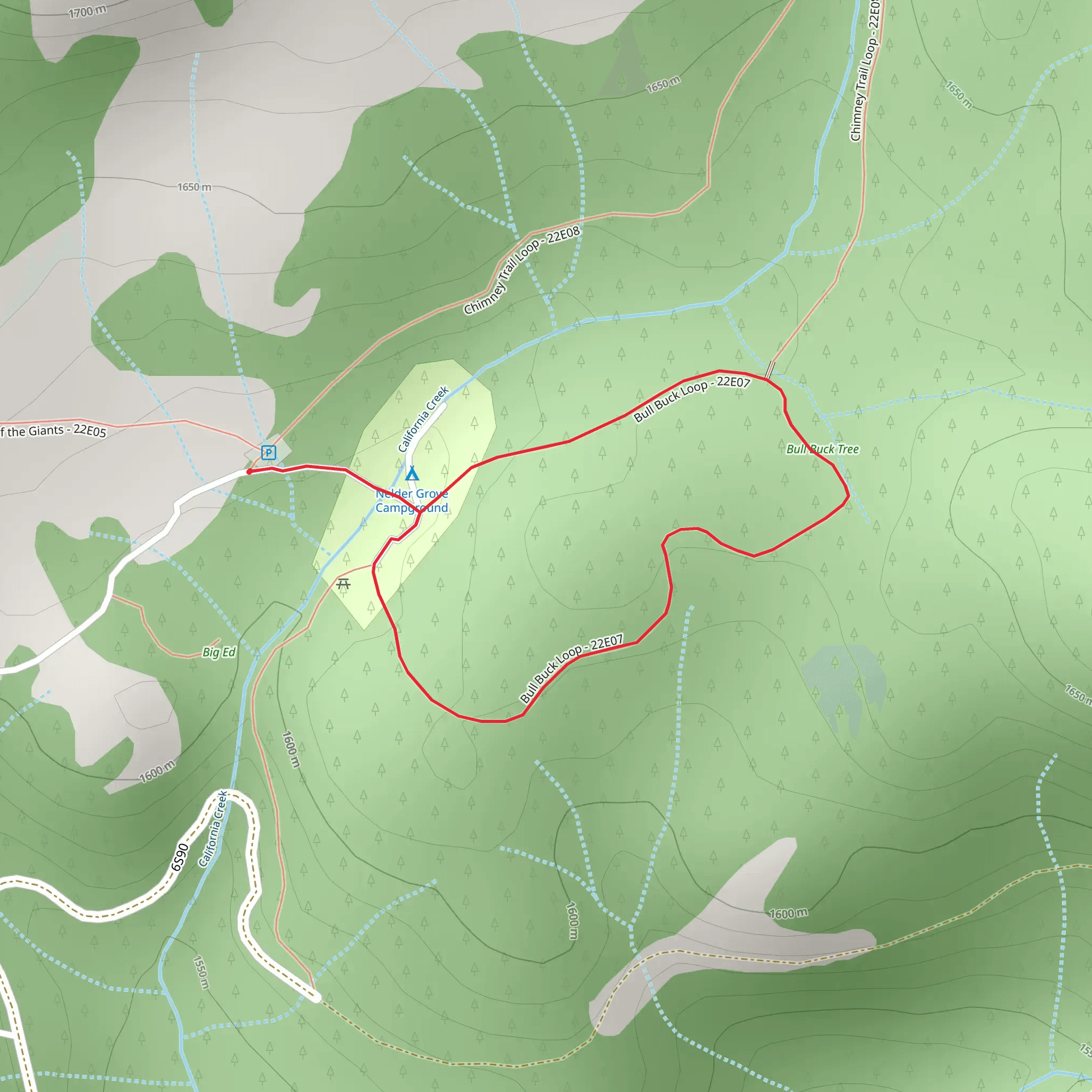 Bull Buck Tree Loop Trail mobile static map
