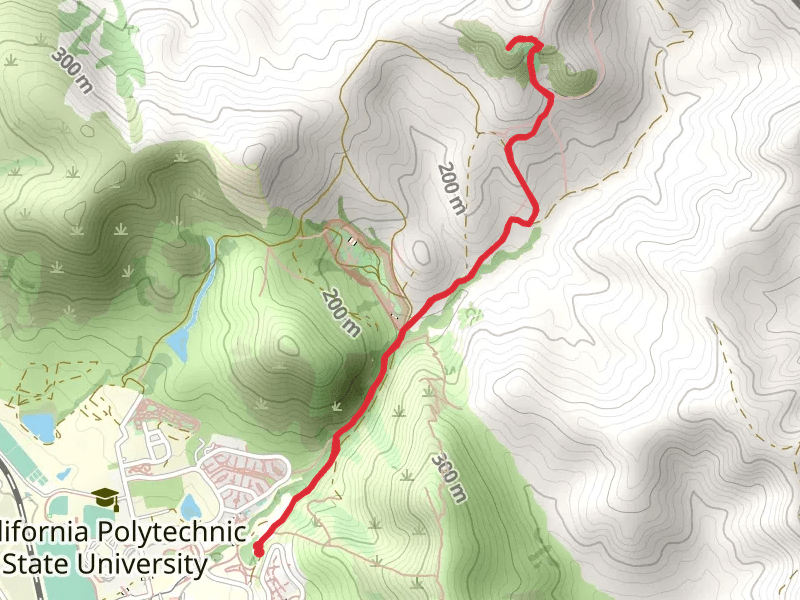 Serenity Swing Outlook via Brizzolara Creek