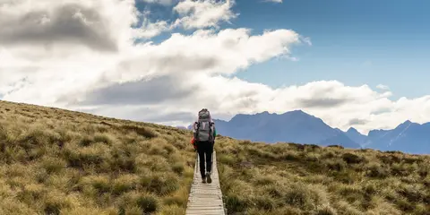 An image depicting the trail Visitor Centre to Kepler Track Carpark Walk and its surrounding area.