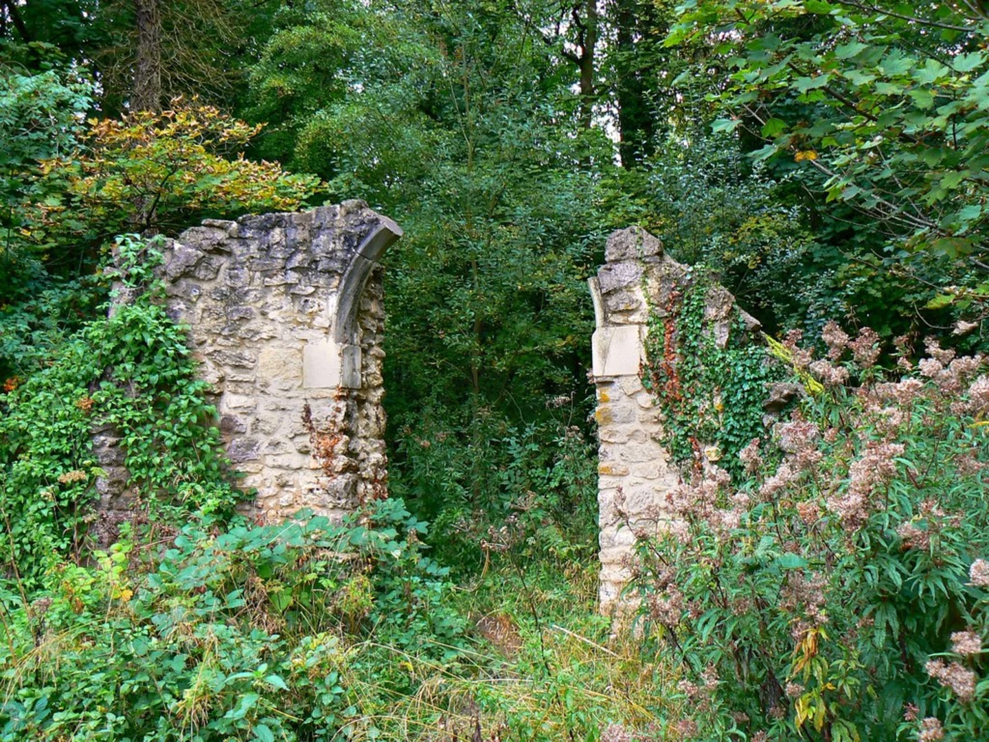 An image depicting the trail Stanton Country Park and Hampton Hill Loop and its surrounding area.