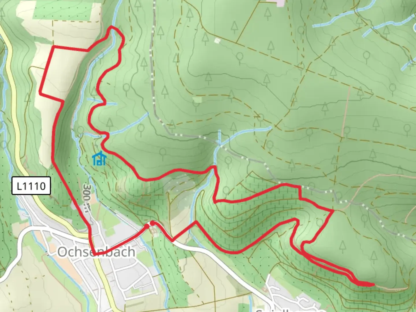 An image depicting the trail Ochsenbach Rundwanderweg Loop and its surrounding area.