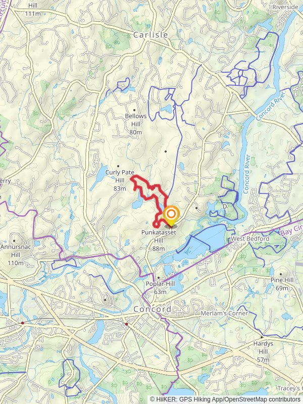 Hutchins Pond and Hubbard Hill Loop