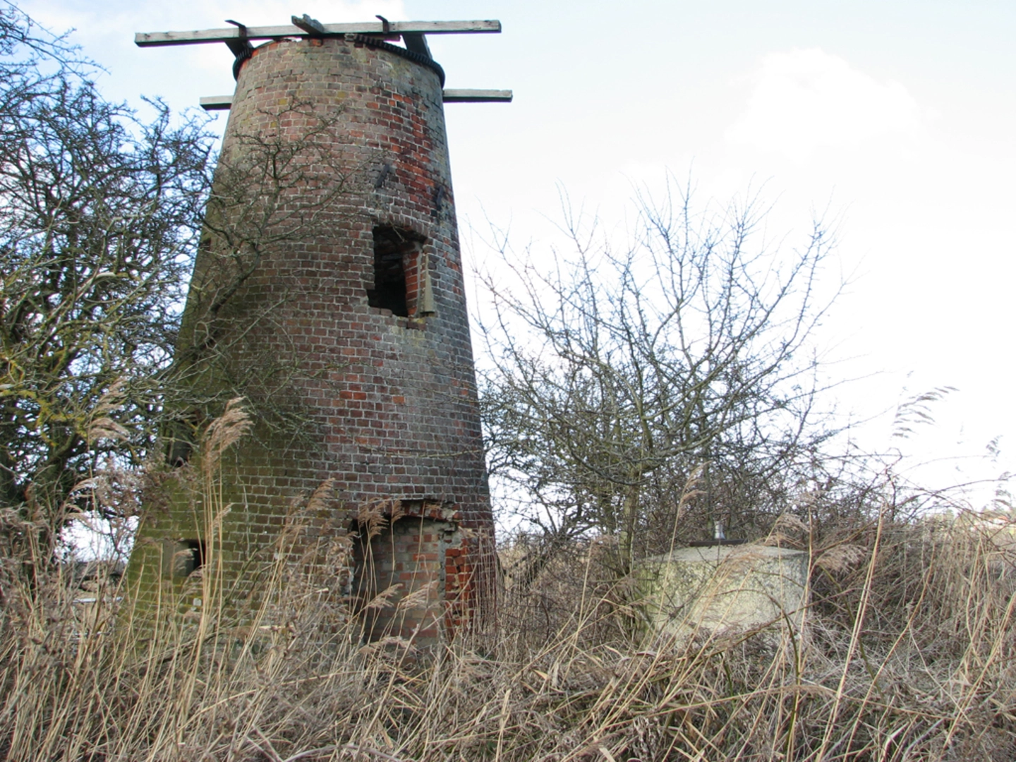 An image depicting the trail Johnson Street Circular Walk and its surrounding area.