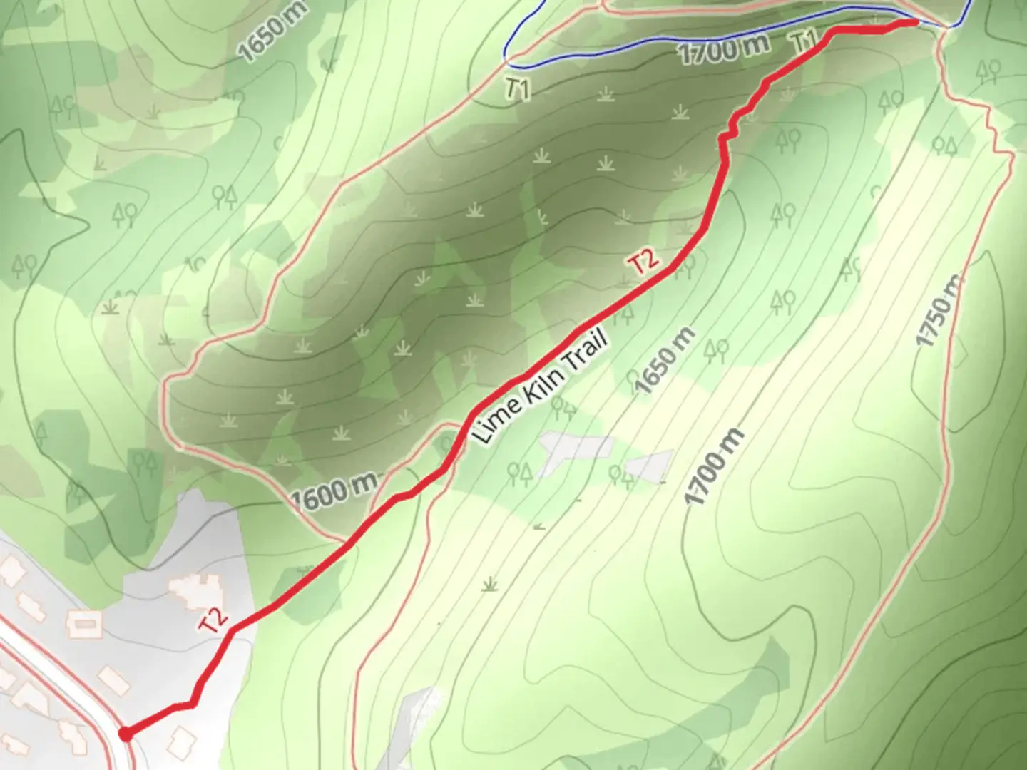 An image depicting the trail Lime Kiln Trail and its surrounding area.