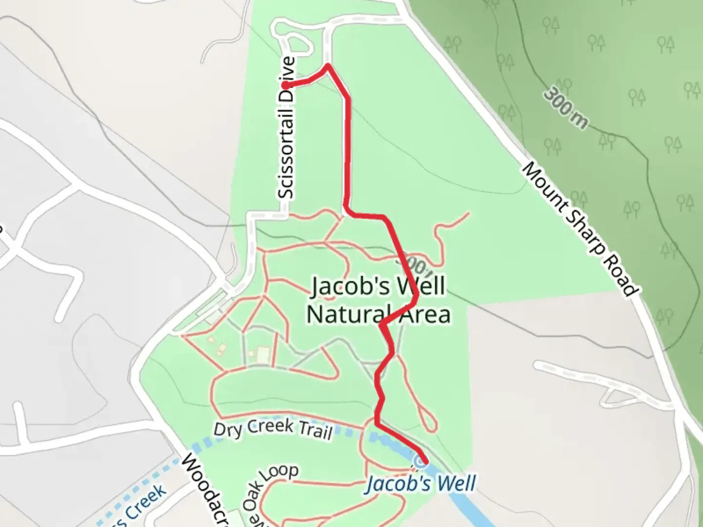 An image depicting the trail Cypress Creek in Jacob's Well Natural Area and its surrounding area.