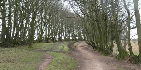 An image depicting the trail Crowcombe and Wills Neck and its surrounding area.