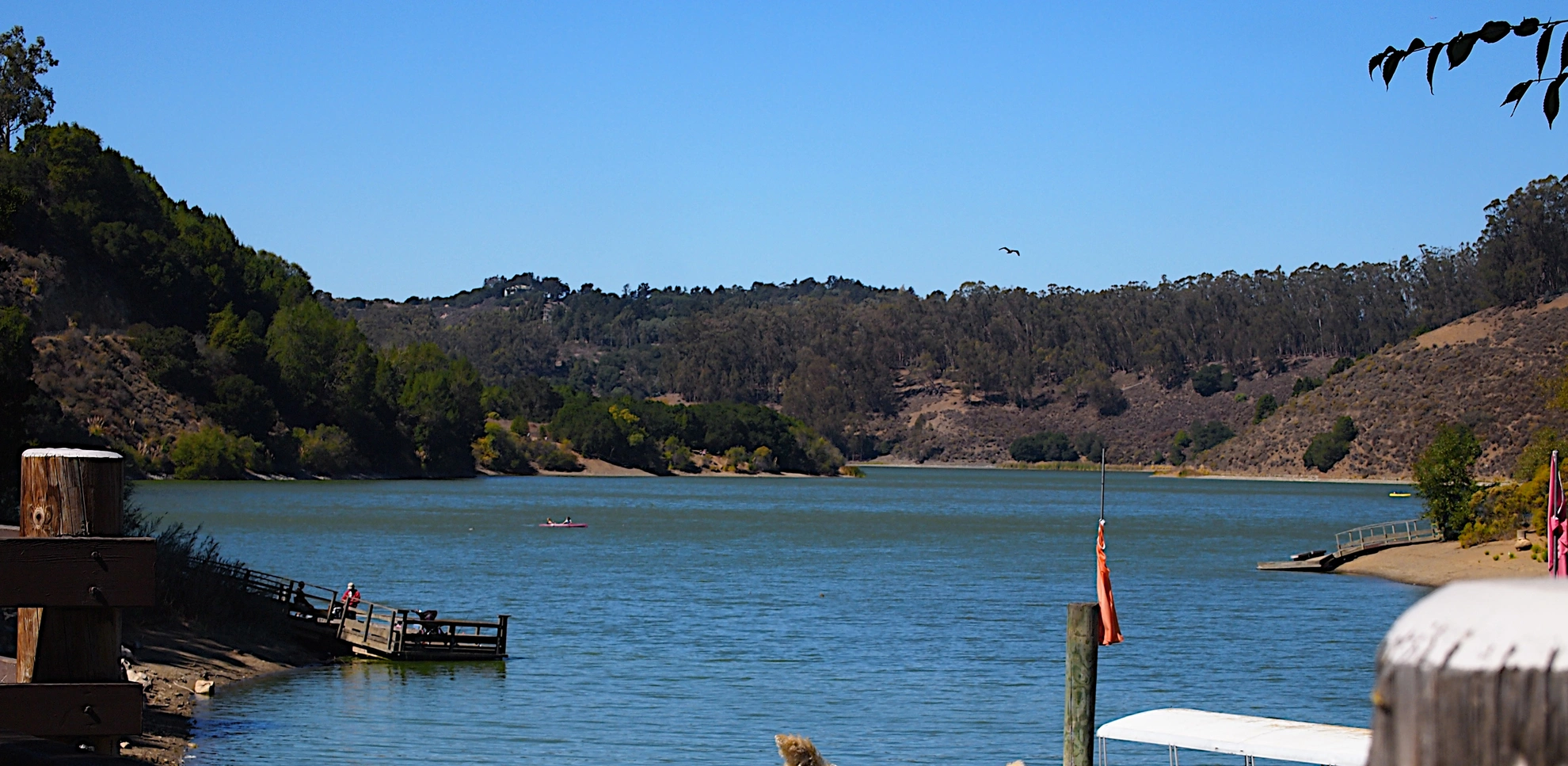 An image depicting the trail Goldenrod Trail and Bass Cove Loop Trail and its surrounding area.