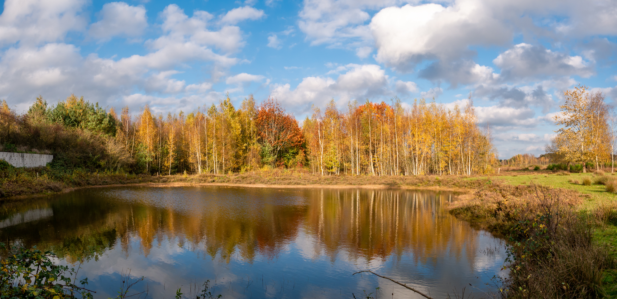 An image depicting the trail Zandveen, Witte Veen, Lheebroekerzand and Schurenberg Loop and its surrounding area.