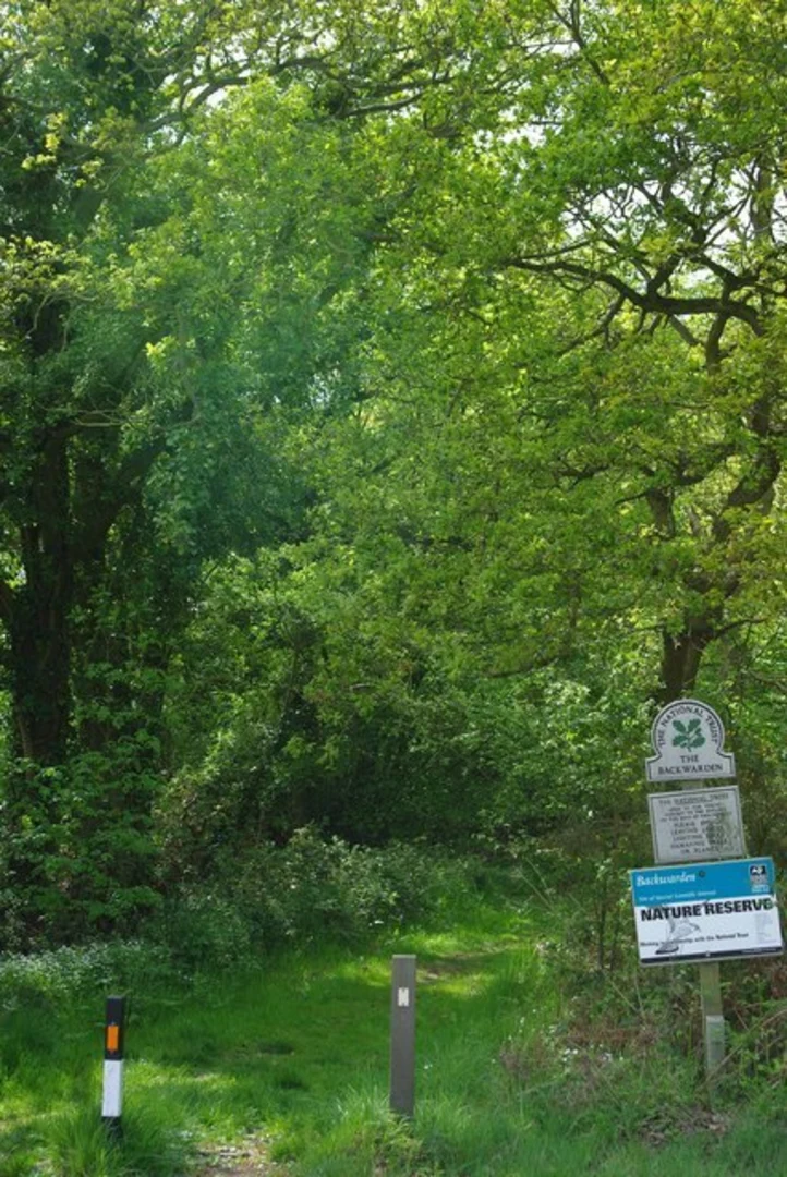 An image depicting the trail Danbury Common Loop and its surrounding area.