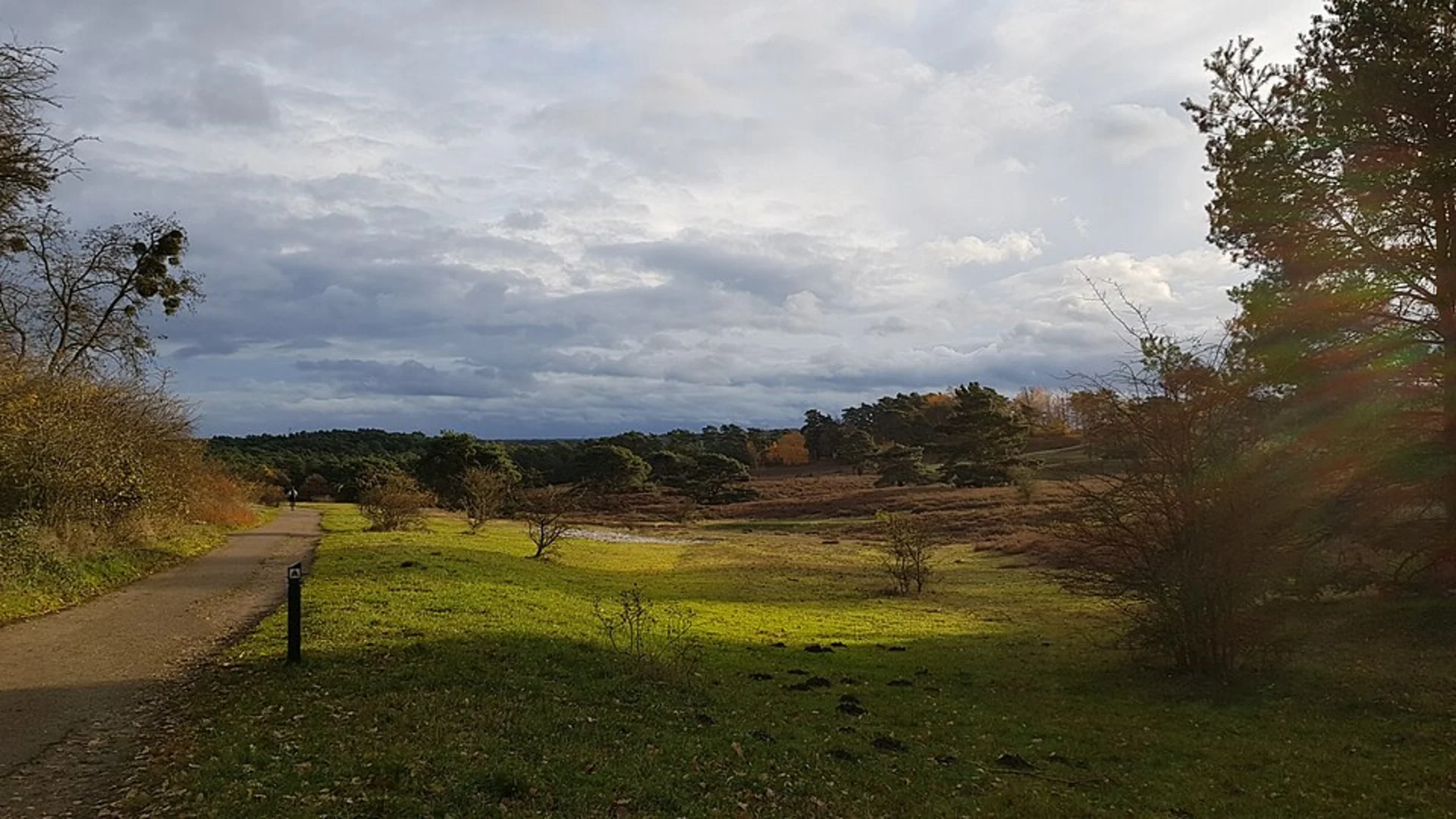 An image depicting the trail Koffiepoel, Onderste Schrieversheideven and Bovenste Schrieversheideven Loop and its surrounding area.
