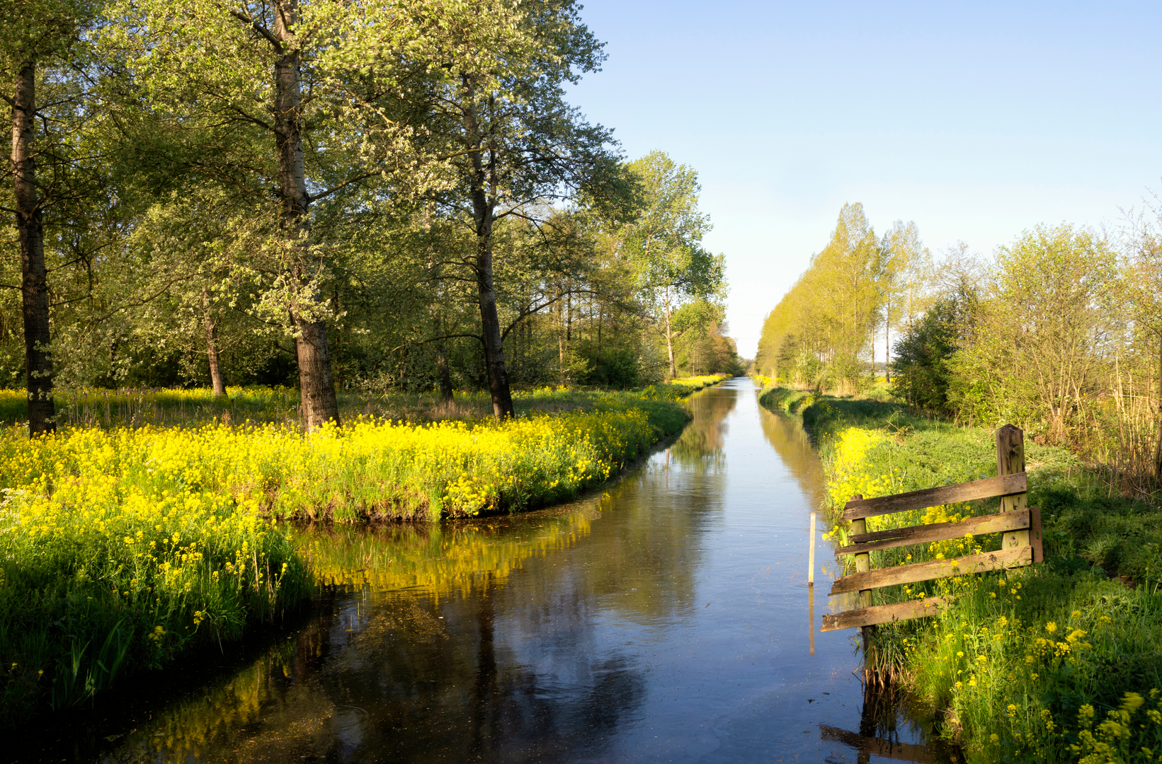 An image depicting the trail West Kinderdijk and Nederwaard Loop and its surrounding area.