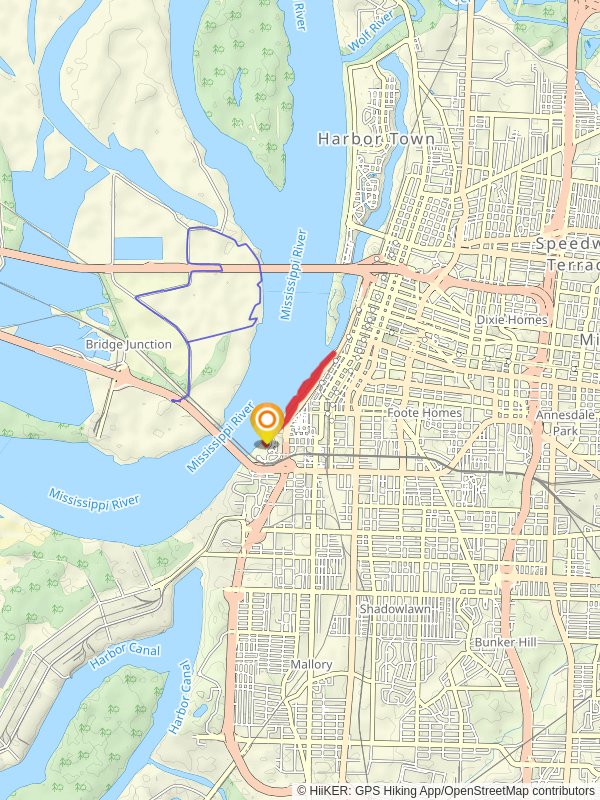 Ashburn-Coppock Park Shore Loop