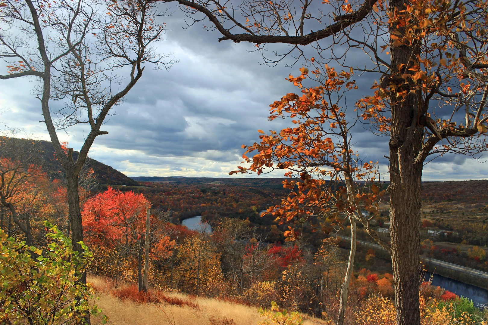 An image depicting the trail Charcoal and Prairie Grass Trail Loop via Lehigh River and its surrounding area.