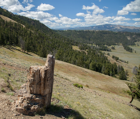 An image depicting the trail Stagecoach Road Trail and its surrounding area.