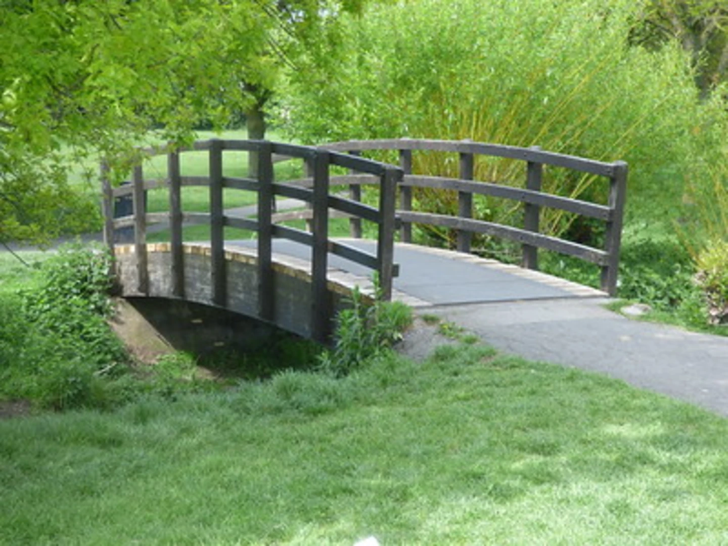 An image depicting the trail Olton Jubilee Park Loop and its surrounding area.