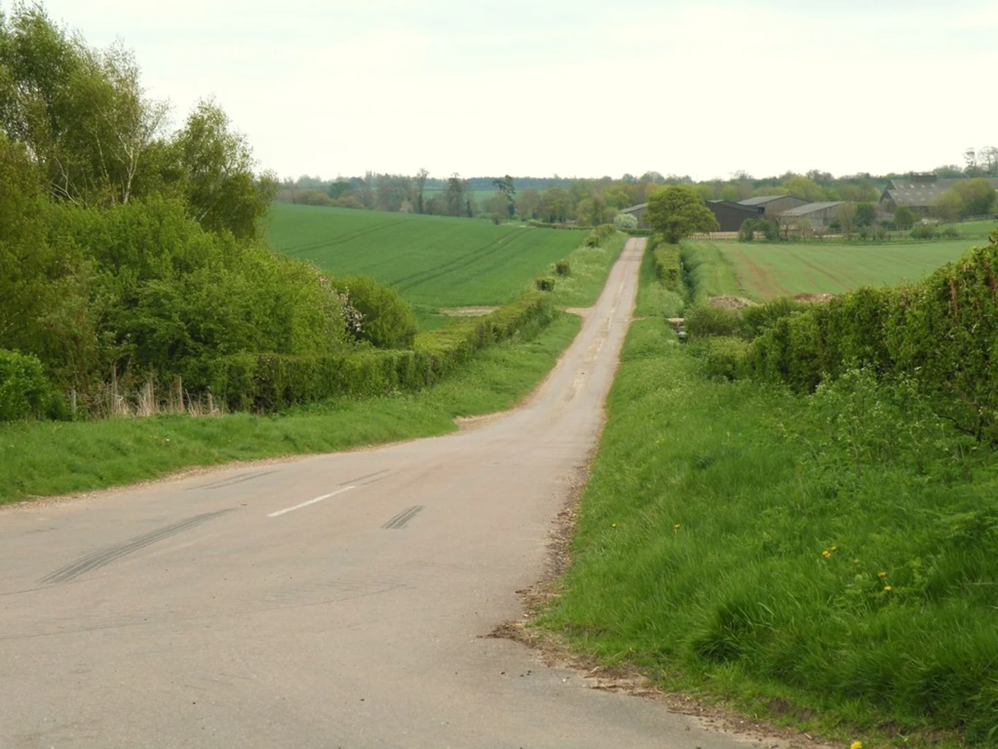 An image depicting the trail Balsham to Streetly End Loop via Balsham Wood and its surrounding area.