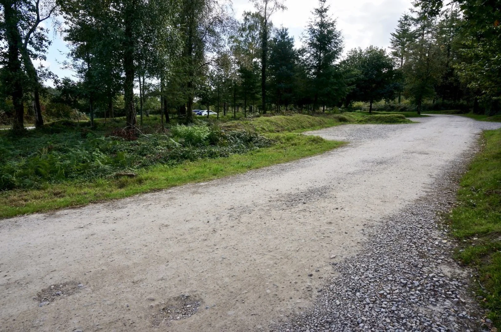 An image depicting the trail Cann Woods Loop and its surrounding area.