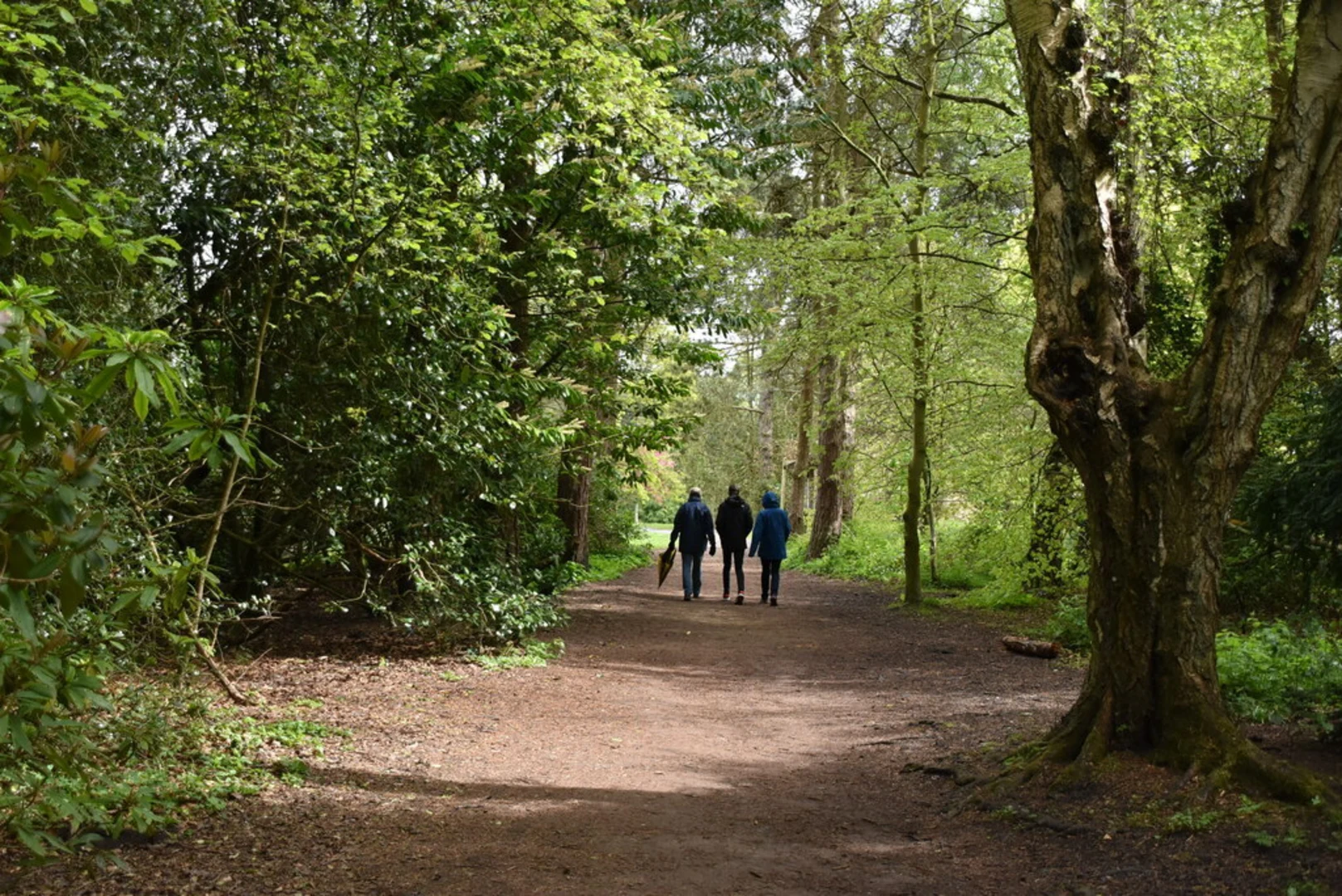 An image depicting the trail Harlow Carr to Valley Gardens and its surrounding area.